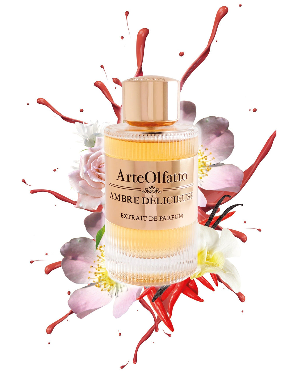 AMBRE DÈLICIEUSE, Extrait