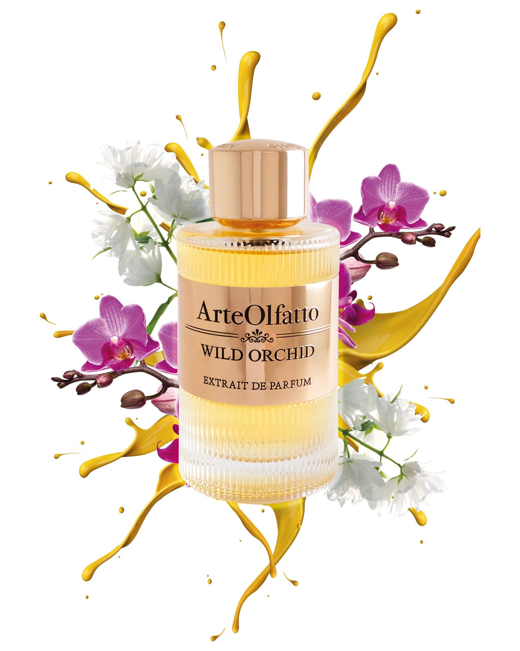 WILD ORCHID, Extrait