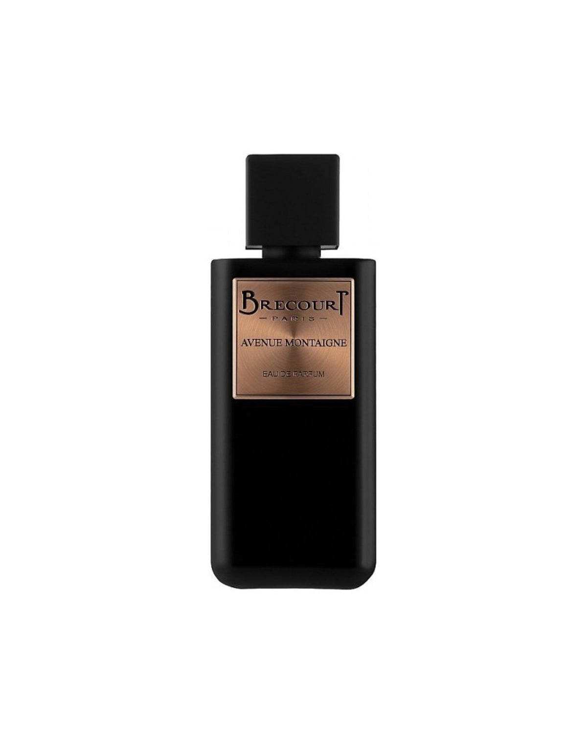 AVENUE MONTAIGNE, EDP