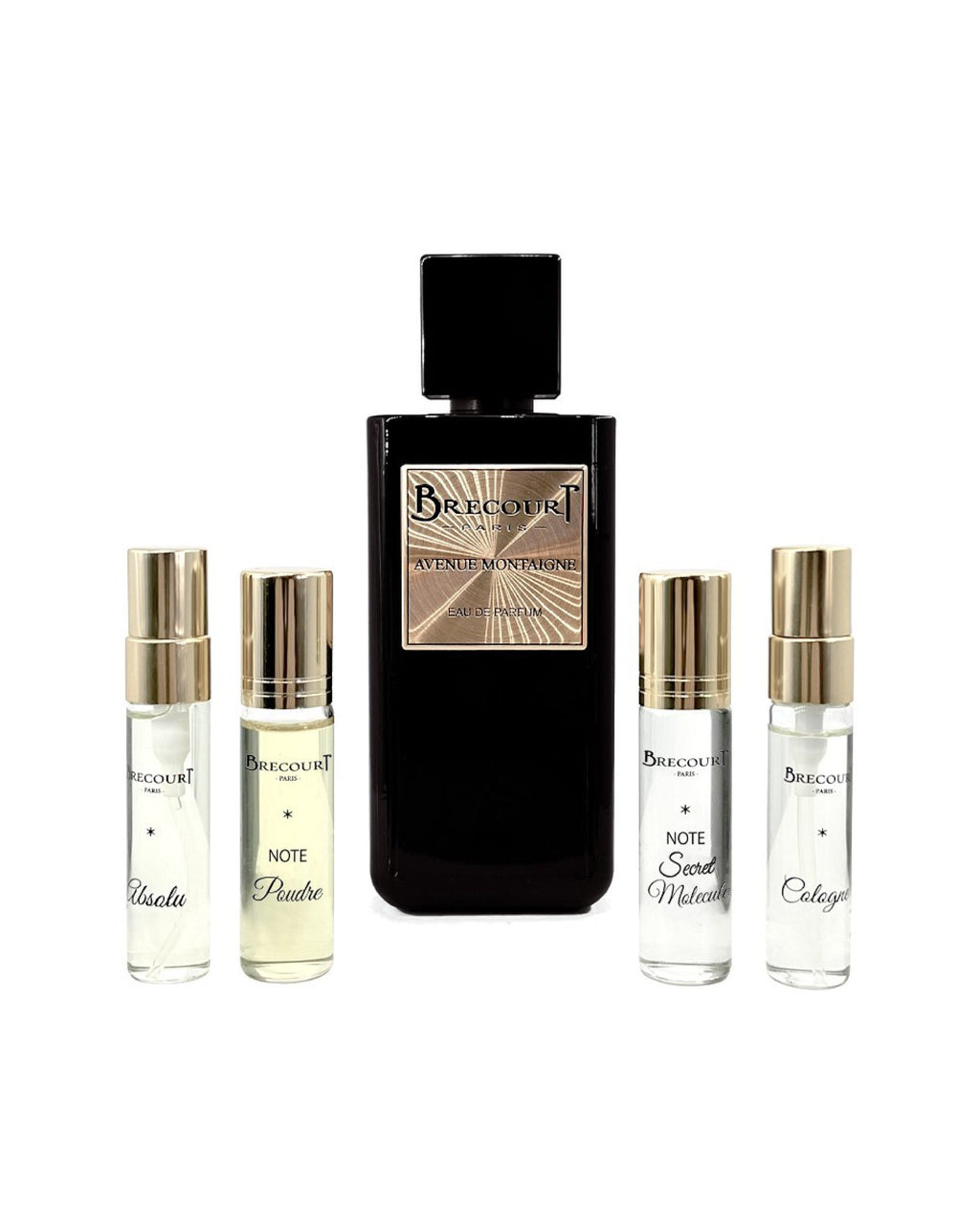 AVENUE MONTAIGNE, EDP