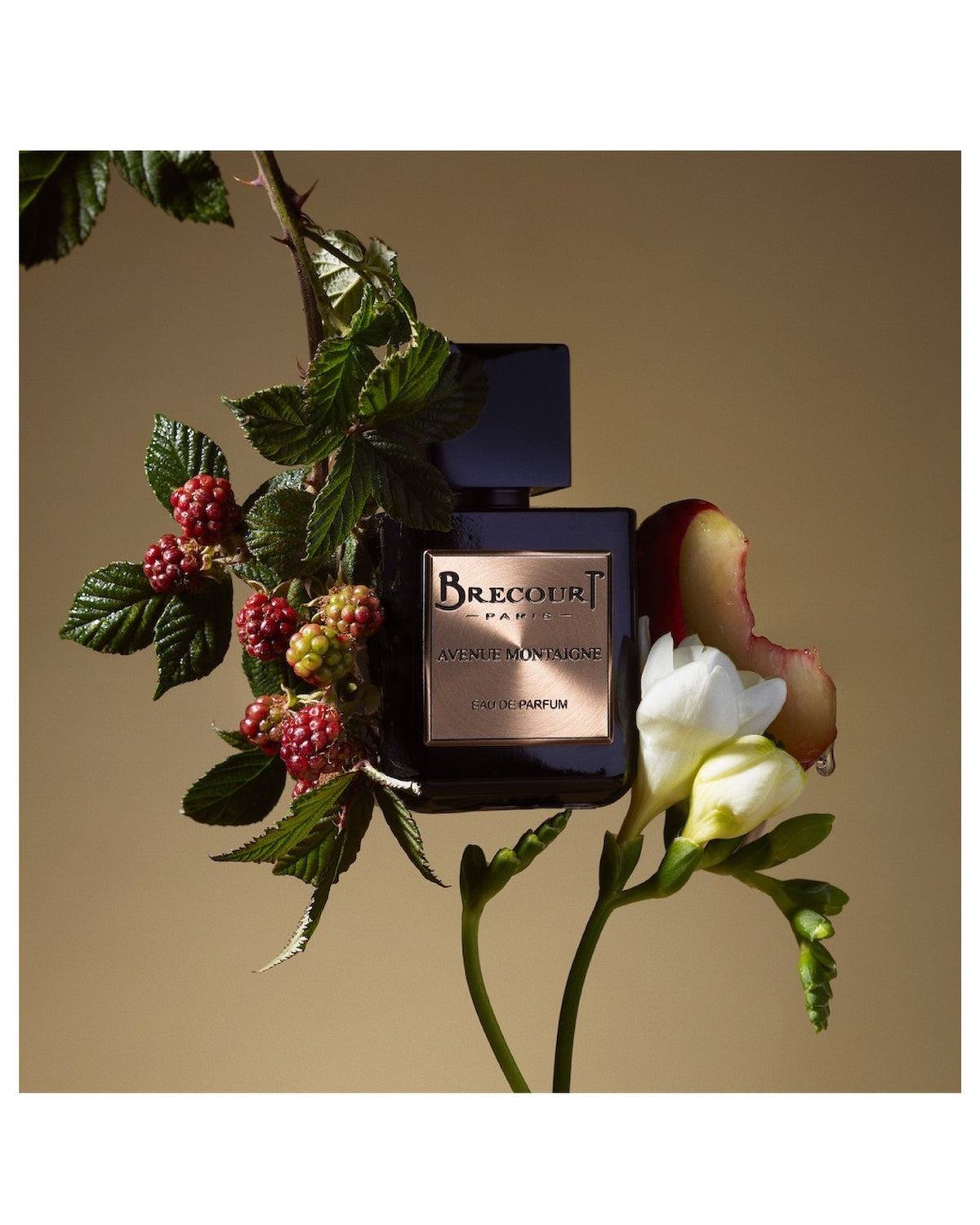AVENUE MONTAIGNE, EDP