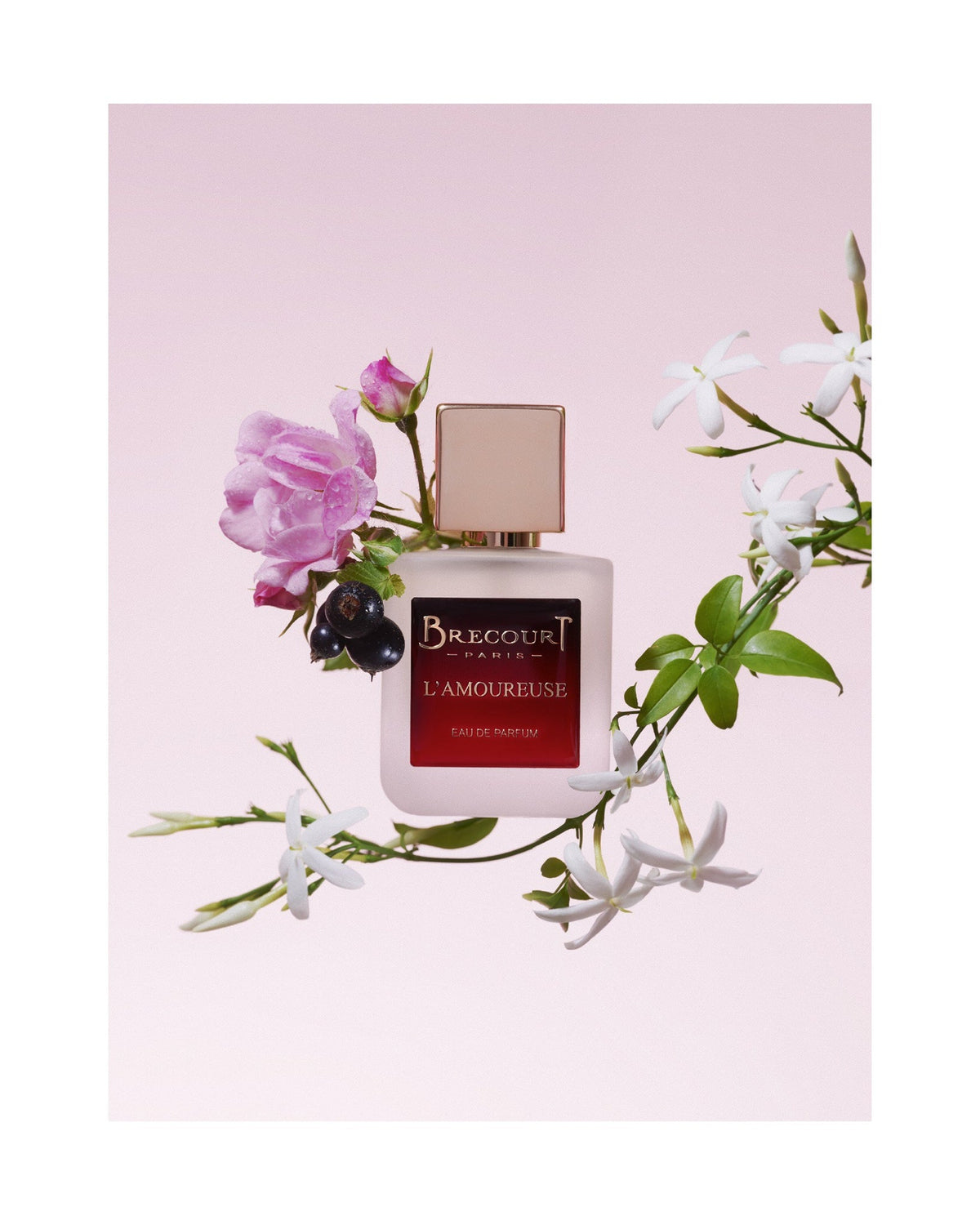 L'AMOUREUSE, EDP