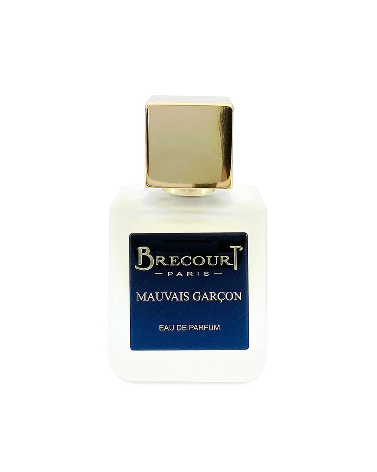 MAUVAIS GARCON, EDP 