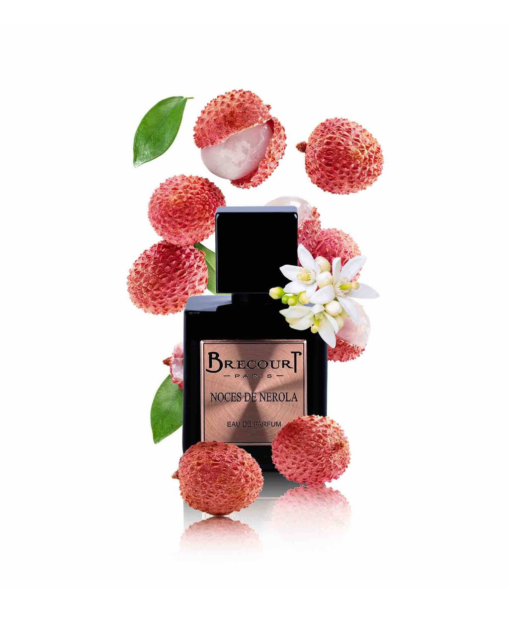NOCES DE NEROLA, EDP