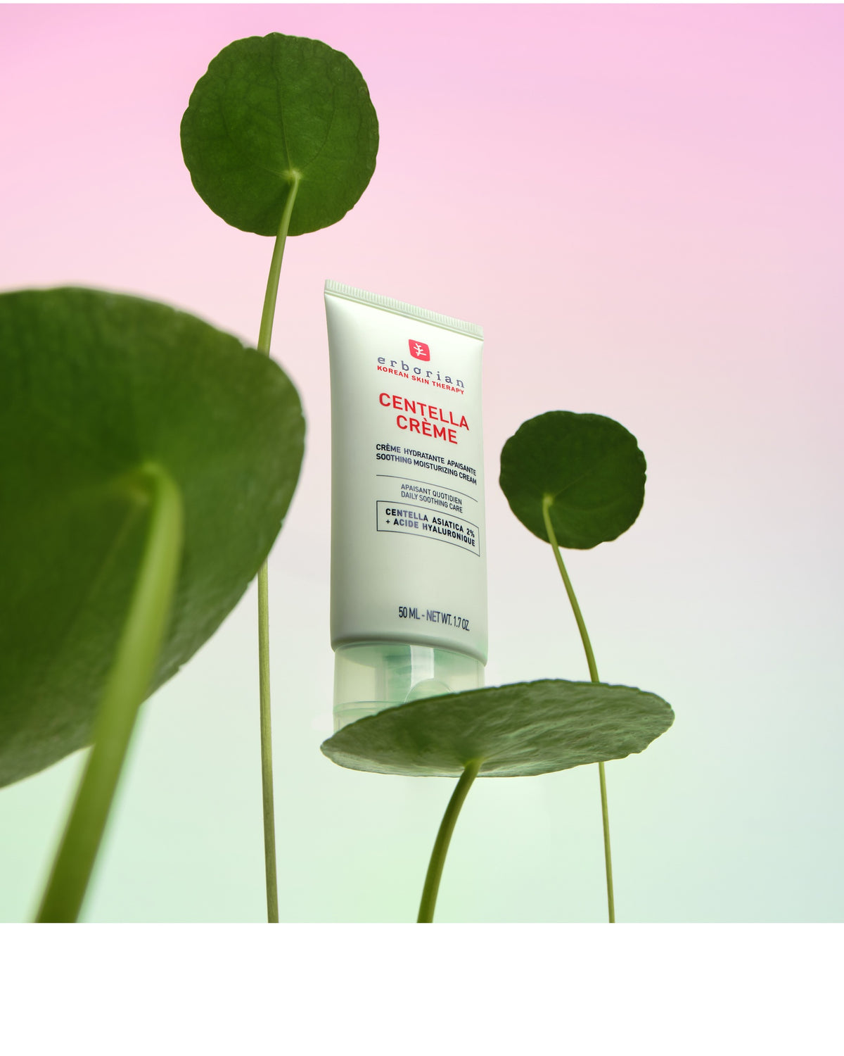 NEW CENTELLA CRÈME