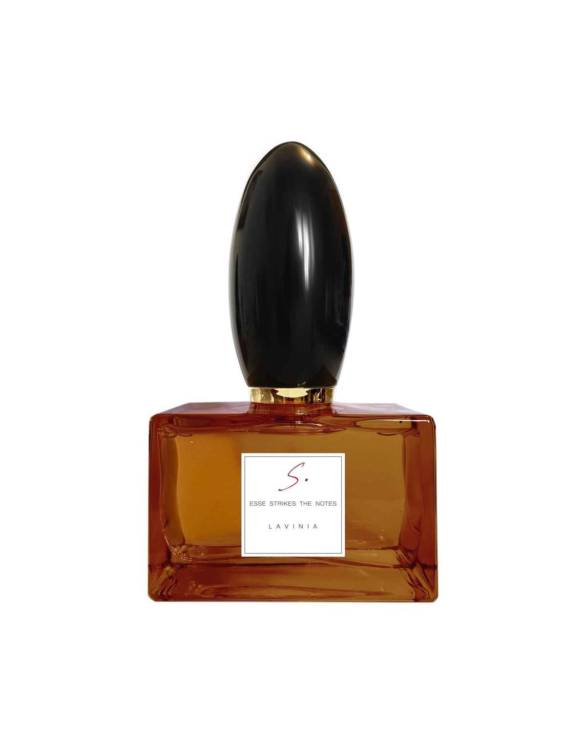 LAVINIA, EDP