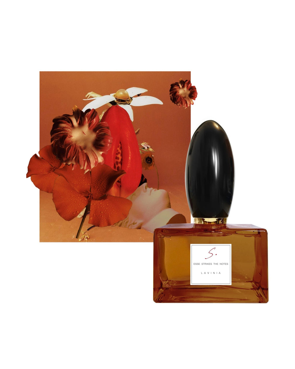 LAVINIA, EDP