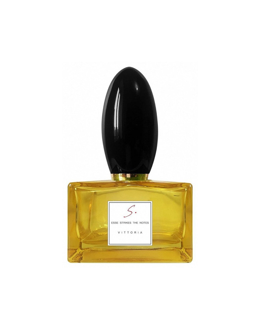 VITTORIA, EDP