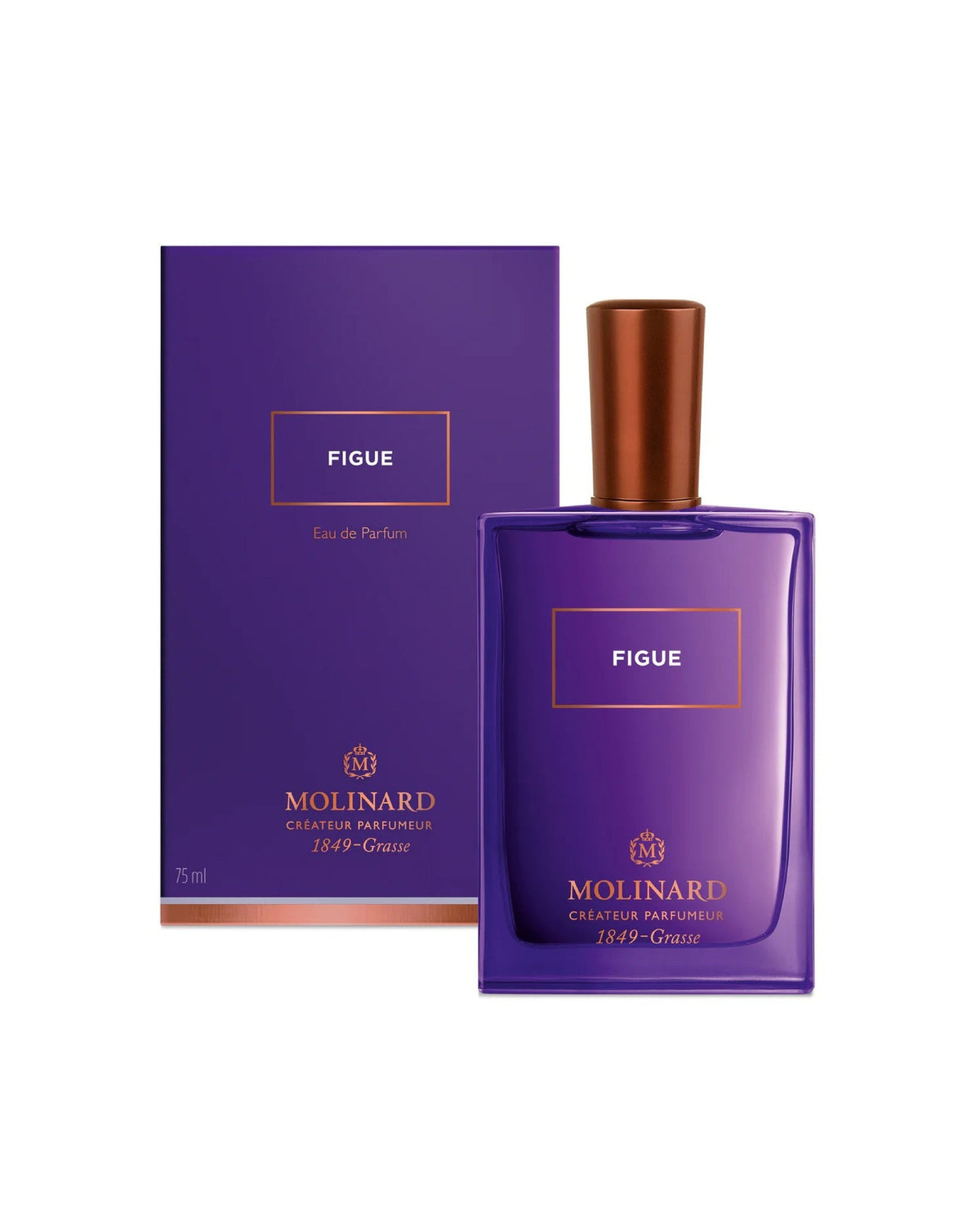 FIGUE, EDP