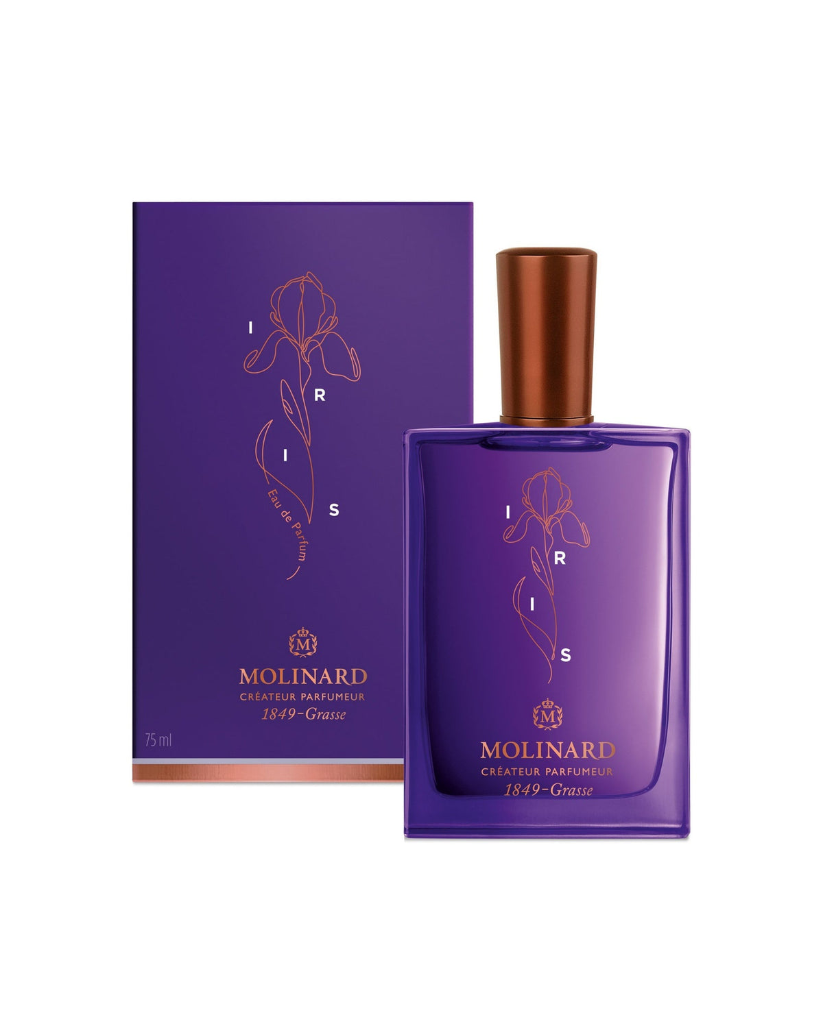 IRIS, EDP