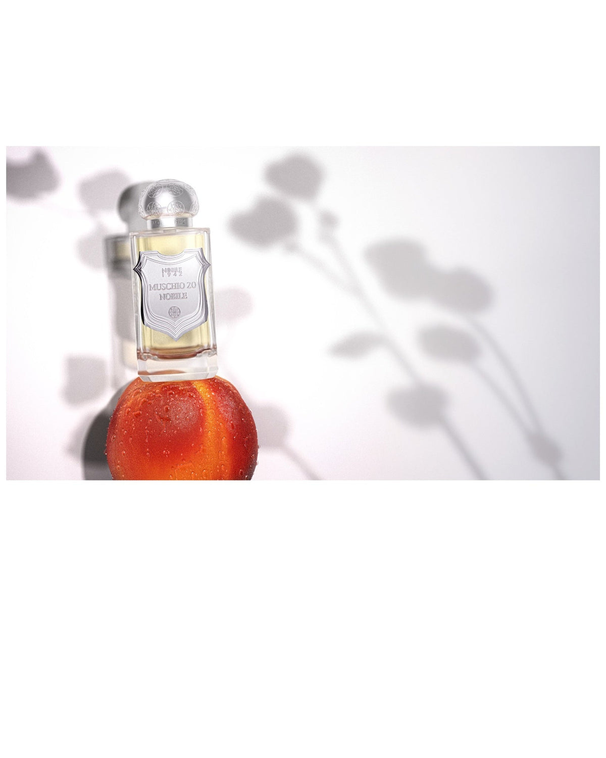 MUSCHIO 20 NOBILE, EDP
